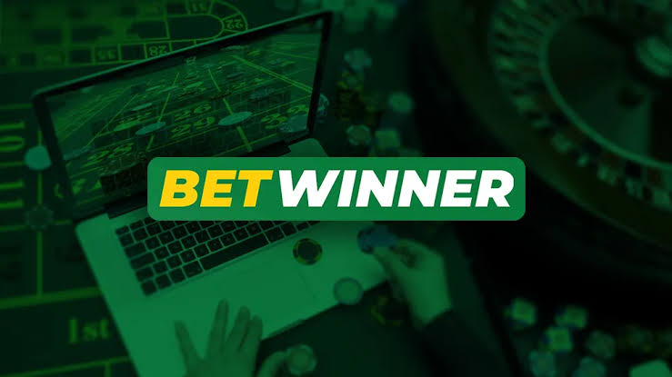 Download and Use BetWinner APK for Seamless Betting